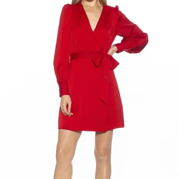 Alexia Admor Mini Wrap Dress in Red Size 2 Button Detail - Picture 7 of 7